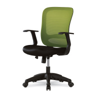 Стул-кресло ортопедический черно-зеленый DSP 1801J (DPOC180101)